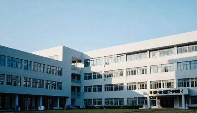 技术外包：软件使用与维护建议分析